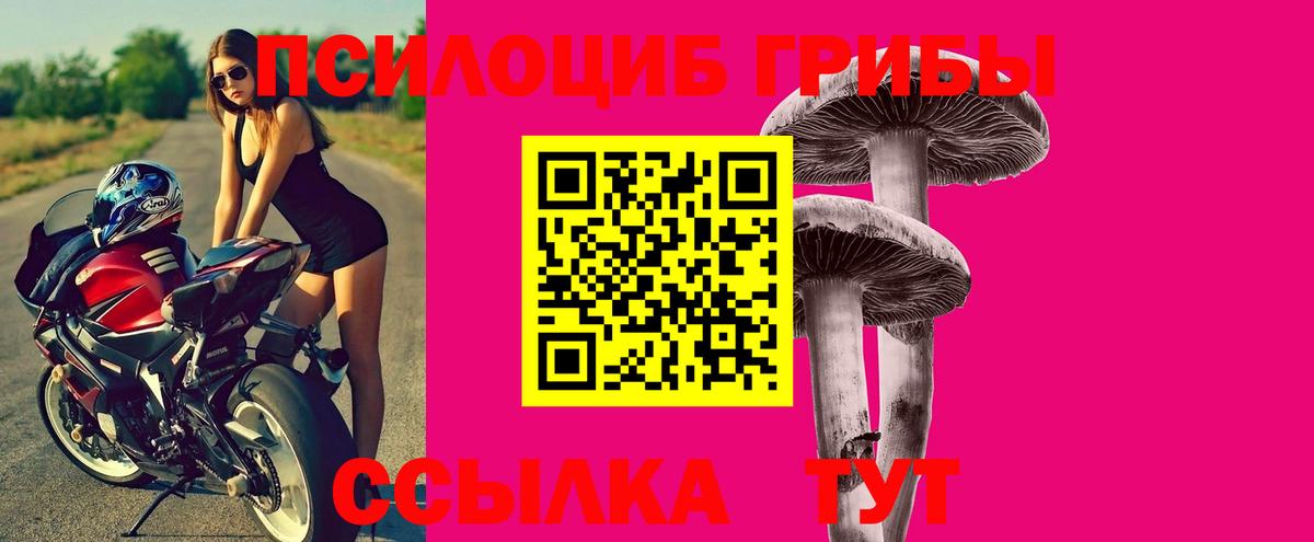 Тимашёвск  Псилоцибиновые грибы прущие грибы  Вход с VPN 